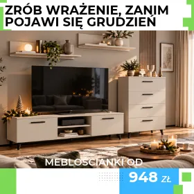 Modne meblościanki do salonu idealne na świąteczne filmy. Zainwestuj w filmowe wieczory teraz, nie czekaj na święta!