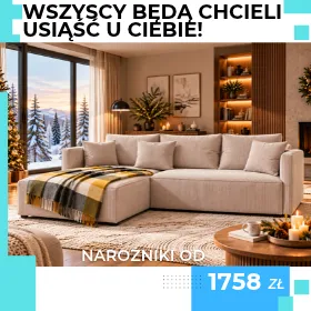Nowy narożnik = komfortowe miejsce do relaksu dla całej rodziny. Zobacz nasze propozycje i wybierz swój ideał teraz.
