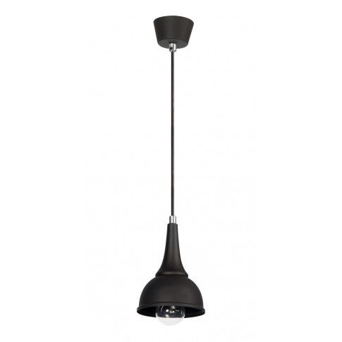 Fotografia Industrialna lampa wisząca E397-Ali - czarny z kategorii Lampy wiszące