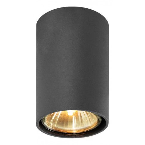 Fotografia Halogenowa lampa sufitowa E402-Simbi - czarny z kategorii Przeznaczenie