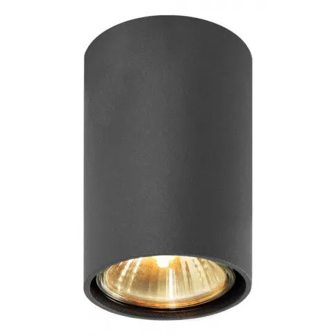 Fotografia Halogenowa lampa sufitowa E402-Demo - czarny z kategorii Przeznaczenie