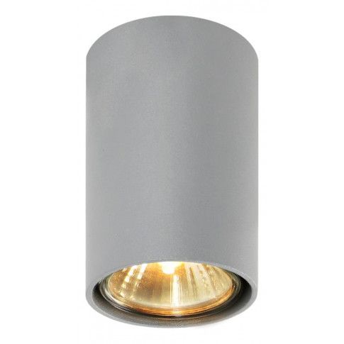 Fotografia Minimalistyczna lampa sufitowa E402-Simbi - popiel z kategorii Przeznaczenie