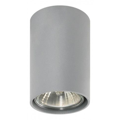 Zdjęcie produktu Minimalistyczna lampa sufitowa E402-Simbi - popiel.