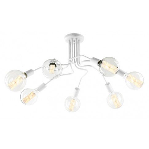 Fotografia Designerska lampa sufitowa E516-Sebastiax z kategorii Lampy sufitowe