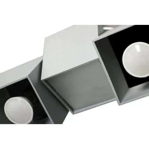 Zdjęcie popielata halogenowa lampa sufitowa E548-Macax | Edinos.pl