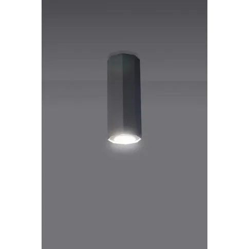 Zdjęcie biała halogenowa lampa sufitowa E550-Ebra | Edinos.pl