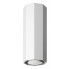 Ośmiokątna lampa sufitowa E550-Okti - biały