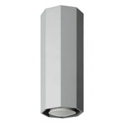 Zdjęcie produktu Designerska lampa sufitowa E550-Okti - popiel.