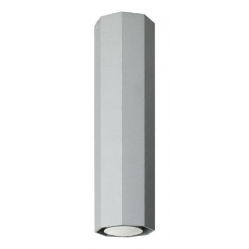 Zdjęcie produktu Lampa sufitowa do łazienki E551-Okti - popiel.