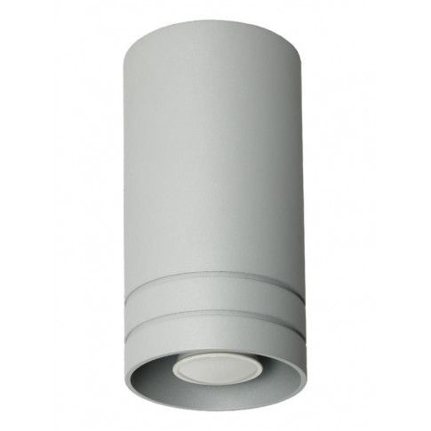 Zdjęcie produktu Metalowa lampa sufitowa E555-Simox - popiel.