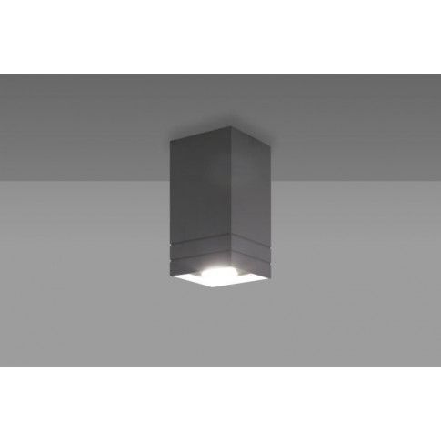 Fotografia Łazienkowa lampa sufitowa E567-Nerox - popiel z kategorii Oświetlenie