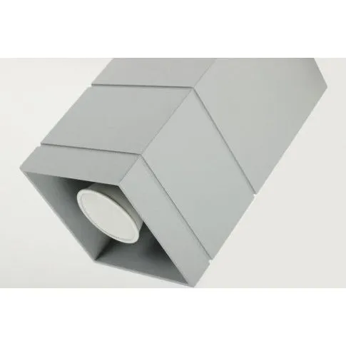 Zdjęcie popielata metalowa lampa sufitowa E568-Nerox | Edinos.pl