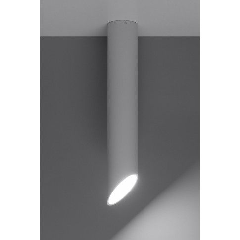 Fotografia Halogenowy plafon tuba E794-Peni - biały z kategorii Plafony