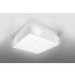 Fotografia Elegancki kwadratowy plafon E796-Horux - biały z kategorii Plafony
