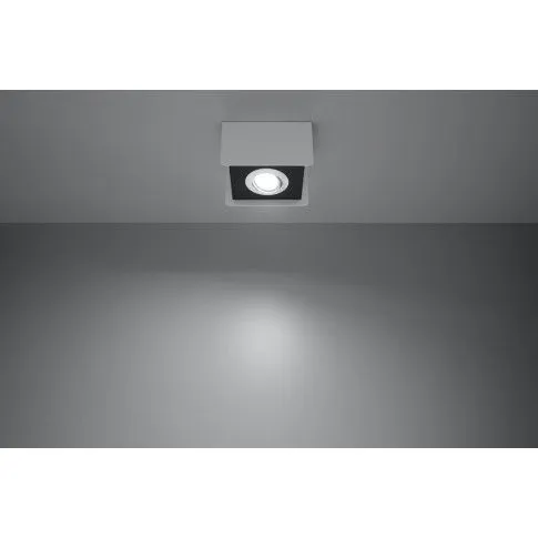 Zdjęcie biały designerski plafon sufitowy E804-Samanti | Edinos.pl