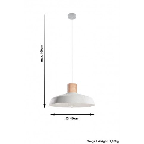 Szczegółowe zdjęcie nr 5 produktu Industrialna lampa wisząca E833-Afre