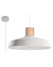 Industrialna lampa wisząca E833-Afre