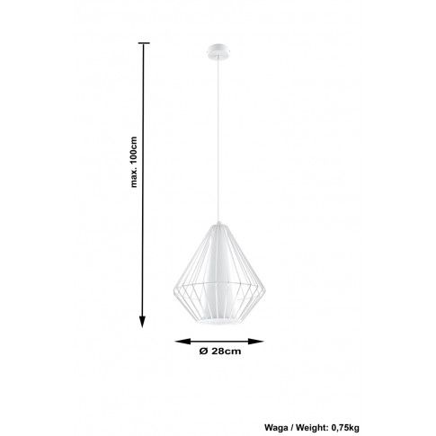 Szczegółowe zdjęcie nr 4 produktu Loftowa lampa wisząca druciana E843-Demo - biały
