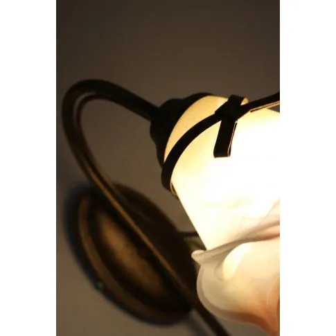 Szczegółowe zdjęcie nr 4 produktu Kinkiet w kształcie kwiatu E876-Vrex