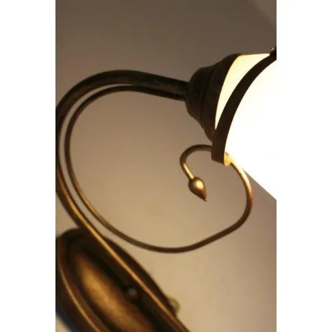 Szczegółowe zdjęcie nr 5 produktu Kinkiet w kształcie kwiatu E876-Vrex