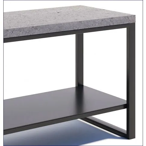 Szczegółowe zdjęcie nr 7 produktu Szafka RTV loftowa Vitten 2X - Ardesi