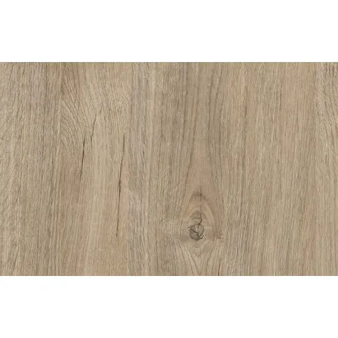 Szczegółowe zdjęcie nr 6 produktu Minimalistyczny regał na książki Dąb Brunico - Glurox 4X