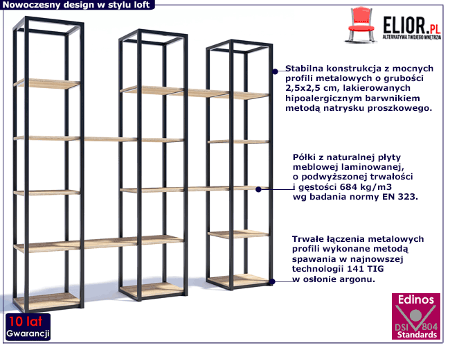 Metalowy regał do biura i salonu w stylu loft Lenisa 5X