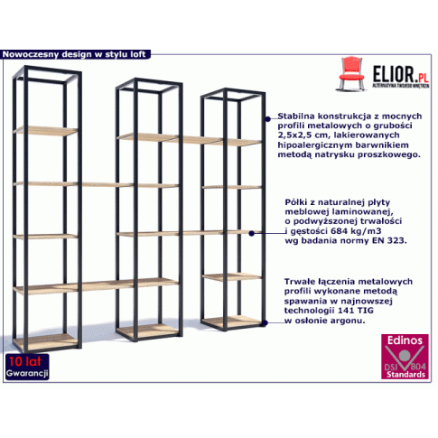 Fotografia Industrialny regał na książki - Lenisa 5X z kategorii Regały, szafy, komody