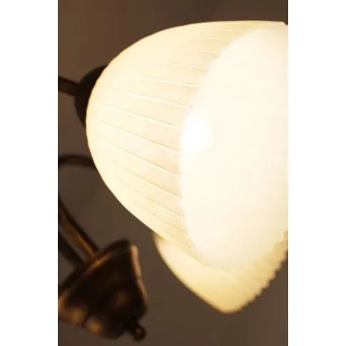 Szklany ozdobny klosz żyrandola EX44-Wezuwix