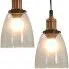 Przezroczysta lampa wisząca loftowa 2 sztuki - EX153-Grevila