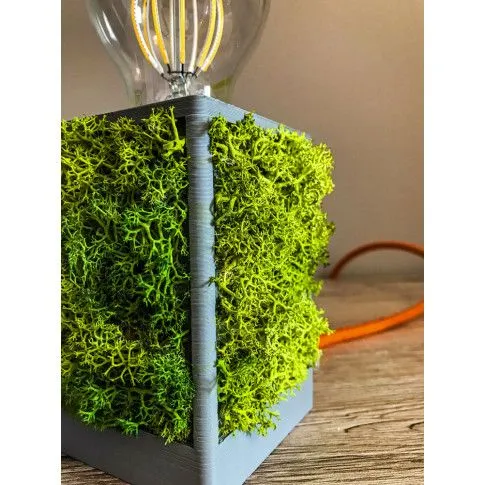 Nowoczesna mała lampka EX381-Vifo z mchu