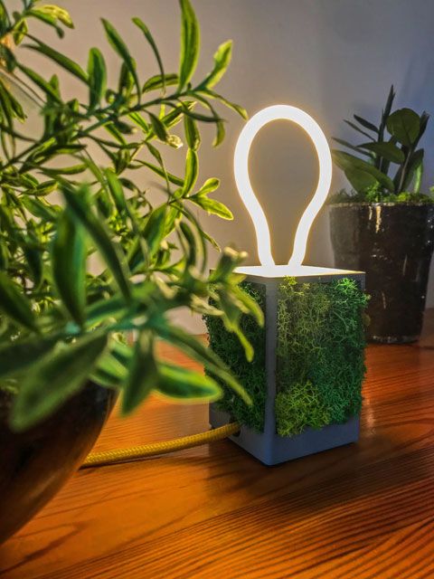 Nowoczesna mała lampka stołowa EX381-Olma zdobiona mchem