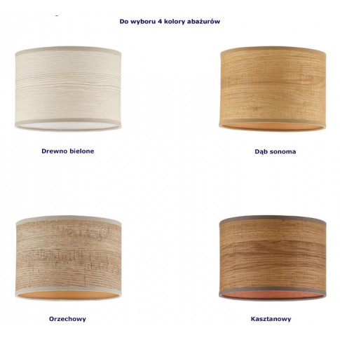Kolorystyka abażurów lampy wiszącej EX435-Montans