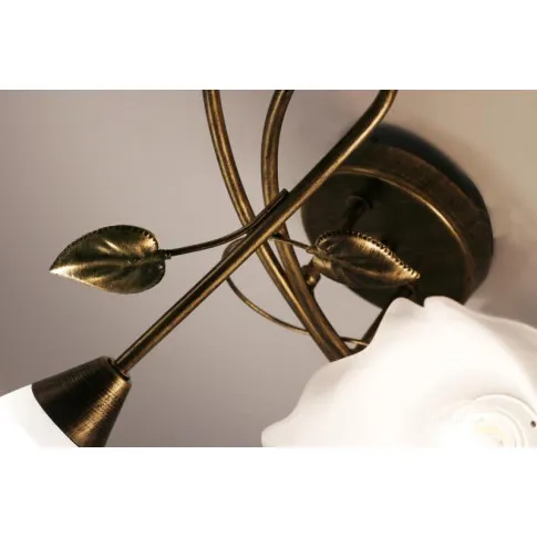 Gięte ramiona plafonu EX461-Planti