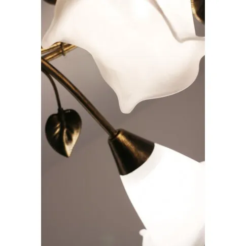 Szklane klosze w kształcie kwiatu plafonu EX461-Planti