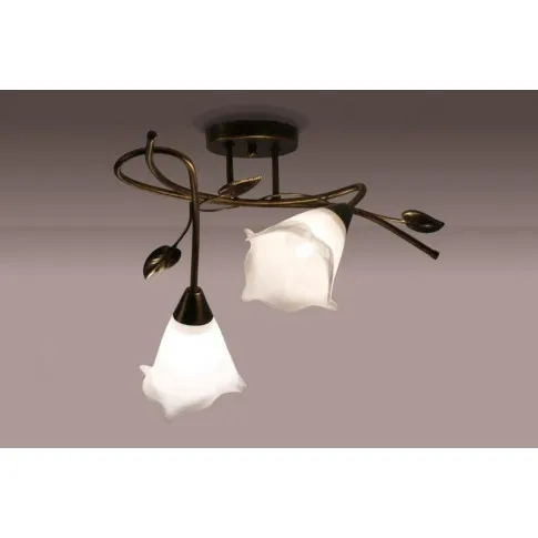 Plafon z dwoma kloszami i metalową rama w kolorze patyny EX461-Planti