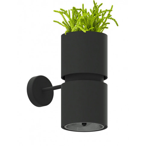 Czarny kinkiet tuba ze sztuczną roślinką EX605-Kukkin
