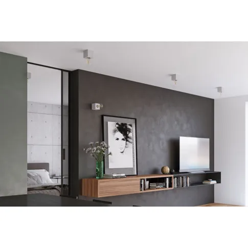 Wizualizacja wnętrza z wykorzystaniem plafonu EX647-Abes