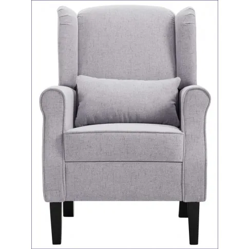 Jasnoszary fotel uszak Prado