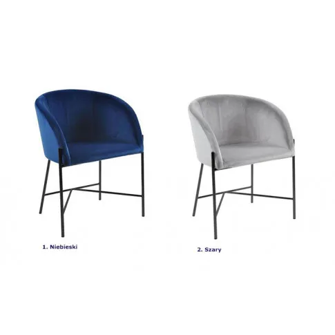 Kolory krzeseł Amazon 2X