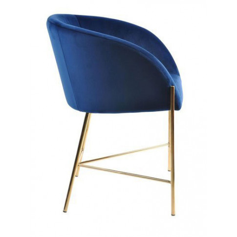 Krzesło do salonu Amazon 4X