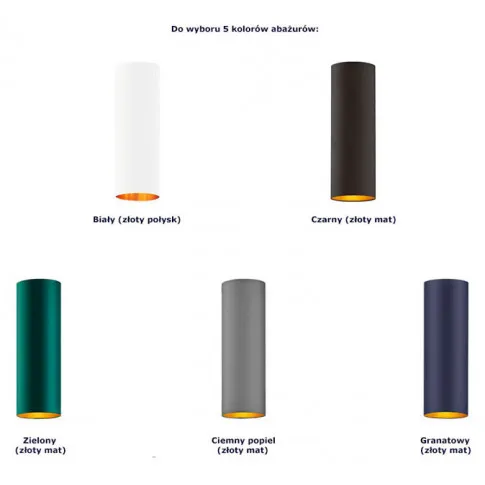 Kolorystyka abażurów lampy wiszącej EX838-Boloniv