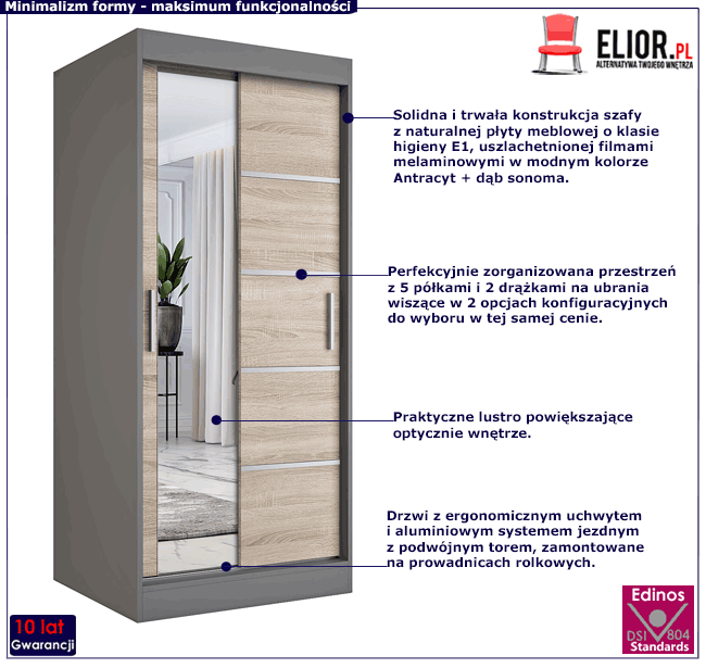 Szafa przesuwna z lustrem w kolorze Ebia 2X