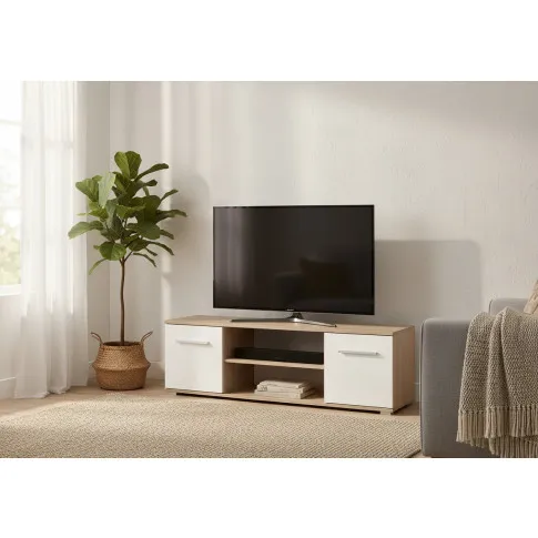 Szczegółowe zdjęcie nr 5 produktu Szafka RTV pod telewizor Kaloe