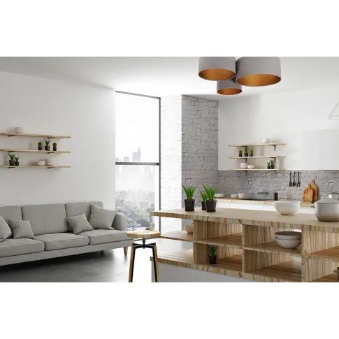 Wizualizacja wnętrza z wykorzystaniem plafonu EXX39-Olena