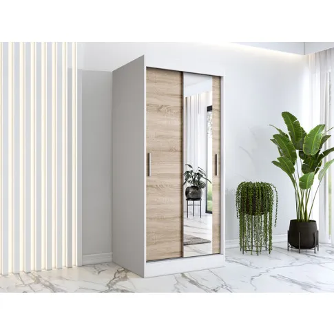 Wizualizacja aranżacji z wykorzystaniem szafy w kolorze biały dąb sonoma Palmira 2X