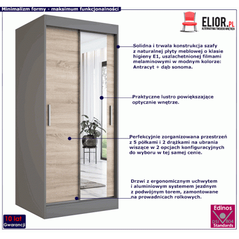 Szafa z lustrem w kolorze antracyt dąb sonoma Palmira 2X