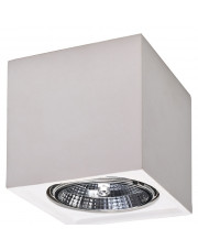 Biały minimalistyczny plafon z ceramiki - EXX207-Sedila