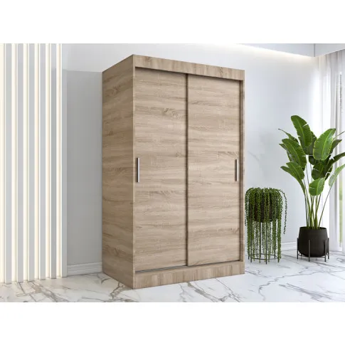 Wizualizacja aranżacji z wykorzystaniem szafy przesuwnej dąb sonoma 120 Corina 3X