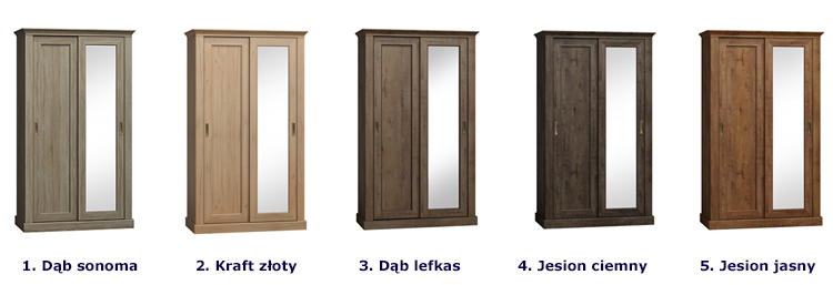 Dostępna kolorystyka szafy przesuwnej Metro 2X